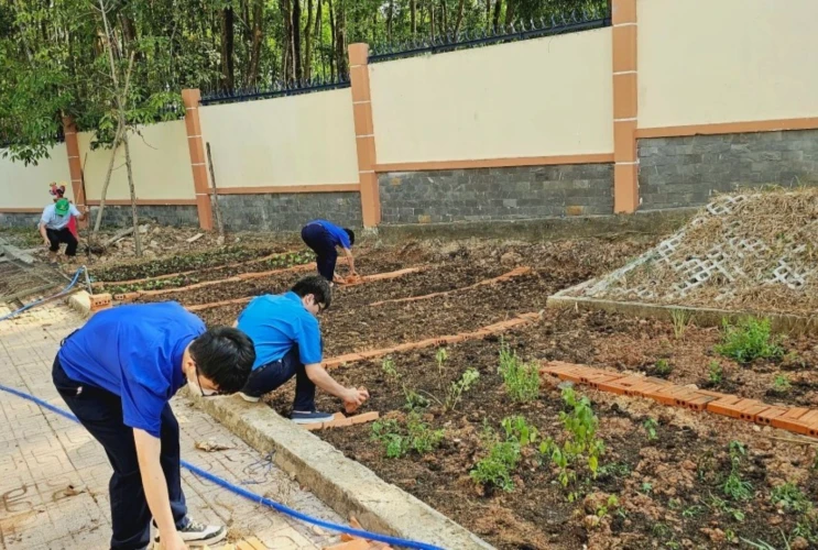 Tết trồng cây đời đời nhớ ơn Bác Hồ
