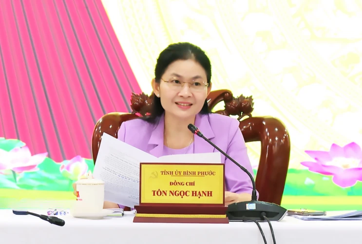 Họp Ban Chỉ đạo về phát triển khoa học, công nghệ, đổi mới sáng tạo và chuyển đổi số