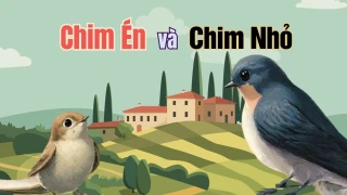 Chim Én và chim Nhỏ