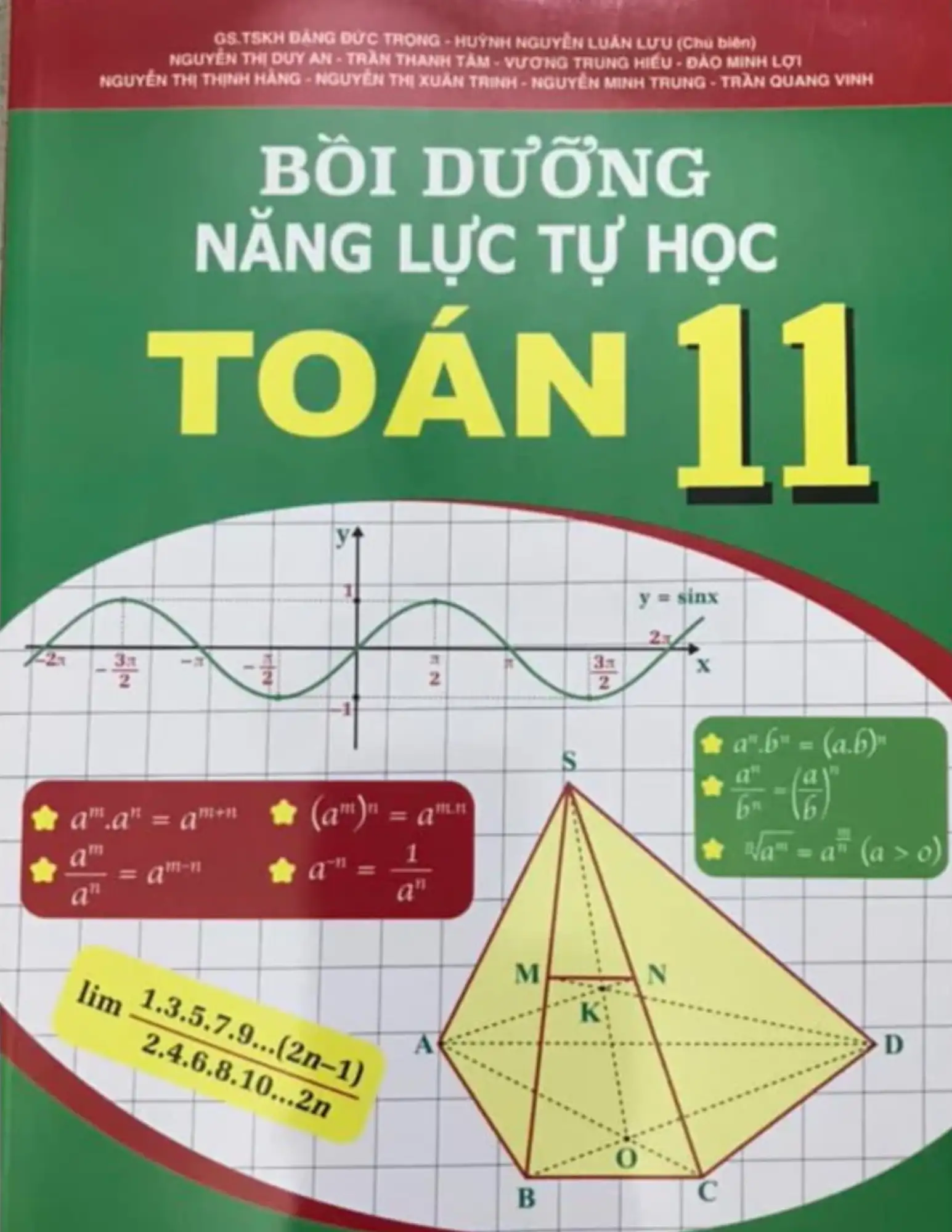 Bồi dưỡng năng lực tự học Toán 11