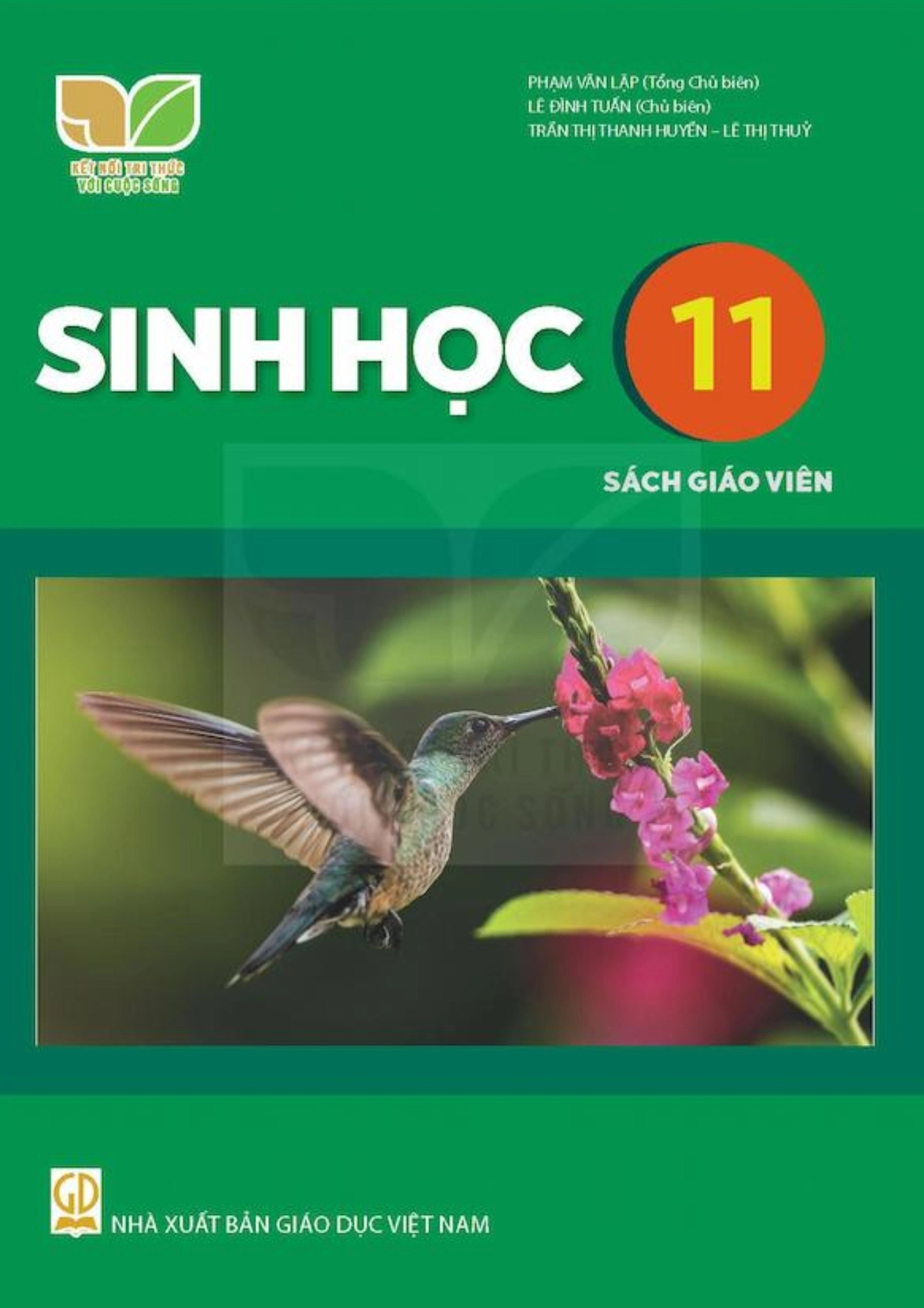Sách giáo viên Sinh học 11 - Kết Nối Tri Thức