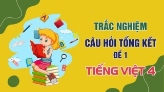 Câu hỏi tổng kết - Đề 1