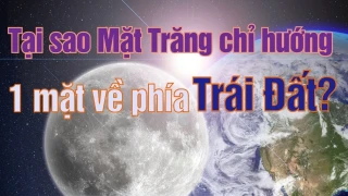 Tại sao Mặt Trăng chỉ hướng 1 mặt về phía Trái Đất?