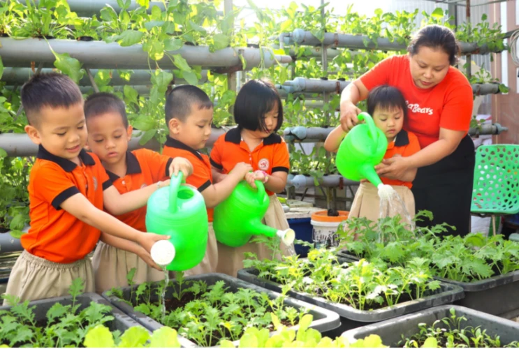 Rau sạch vườn trường