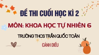 Đề thi HK2 môn Khoa học tự nhiên 6 Cánh diều năm 2023-2024