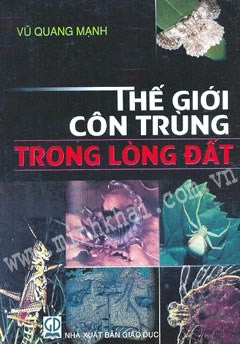 Thế giới côn trùng trong lòng đất