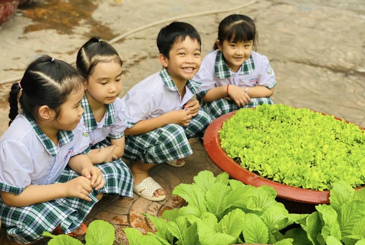 Vườn rau sạch trường em