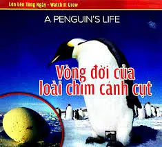 Vòng đời của loài chim cánh cụt