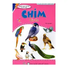 Chim