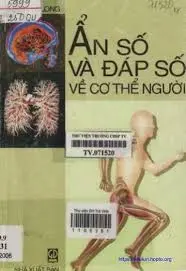 Ẩn số và đáp số về cơ thể người