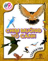 Chim muông vỗ cánh
