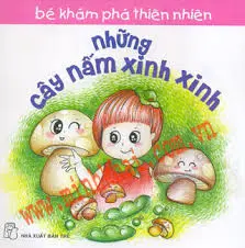 Những cây nấm xinh xinh