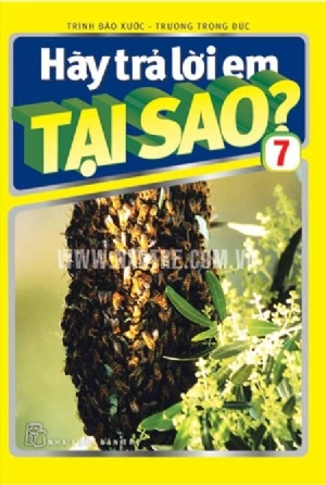 Hãy Trả Lời Em Tại Sao T7