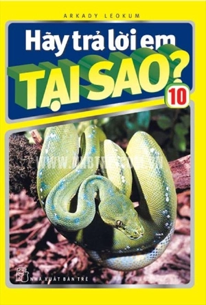 Hãy Trả Lời Em Tại Sao T10