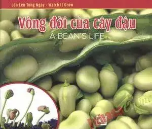Lớn Lên Từng Ngày (Watch It Grow) - Vòng Đời Của Cây Đậu