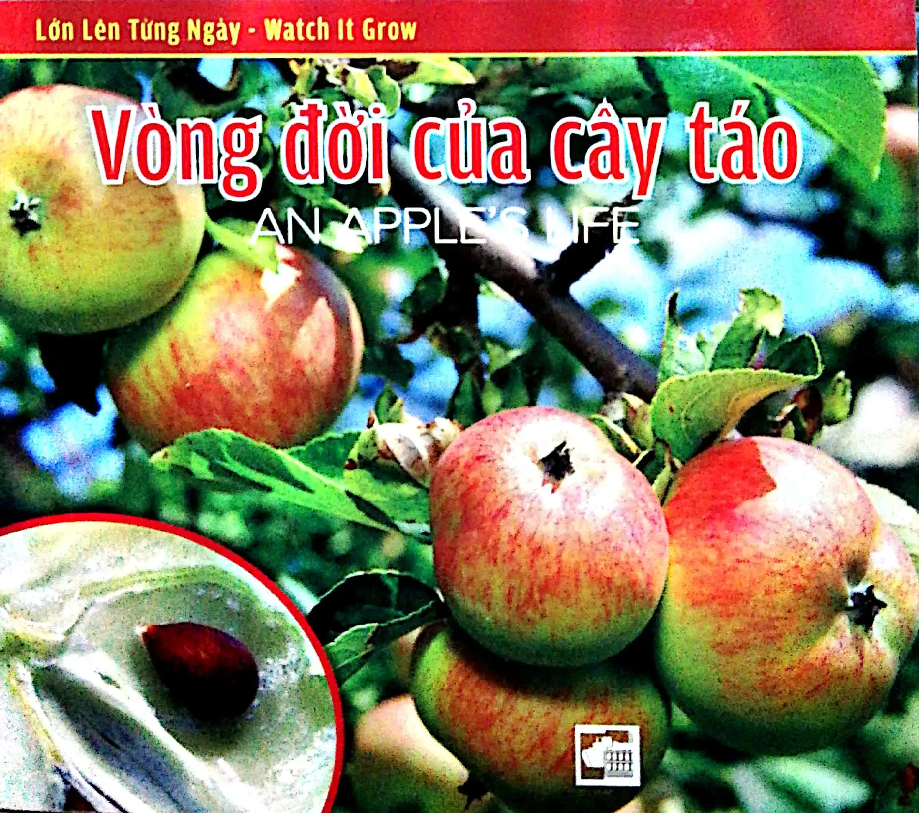 Lớn Lên Từng Ngày (Watch It Grow) - Vòng Đời Của Cây Táo