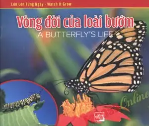 Lớn Lên Từng Ngày (Watch It Grow) - Vòng Đời Của Loài Bướm
