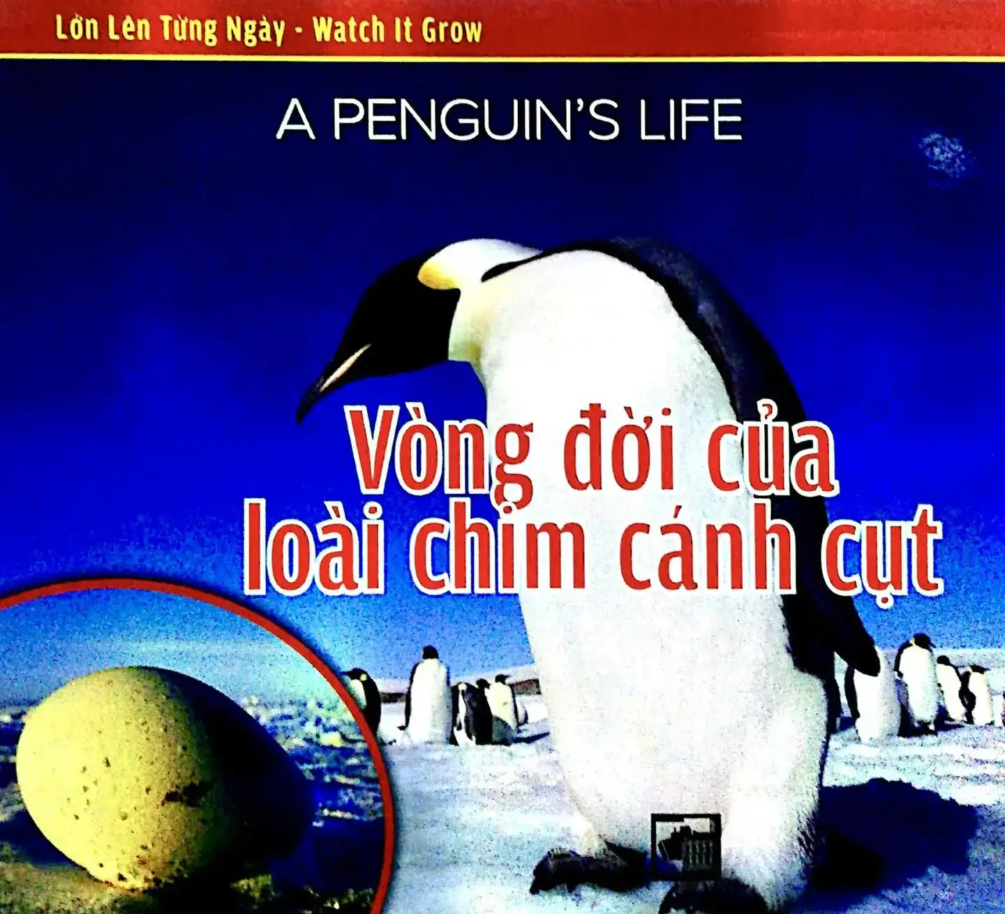 Lớn Lên Từng Ngày (Watch It Grow) - Vòng Đời Của Loài Chim Cánh Cụt
