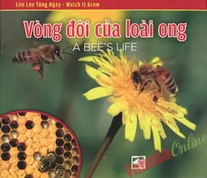 Lớn Lên Từng Ngày (Watch It Grow) - Vòng Đời Của Loài Ong