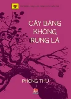 Cây Bàng Không Rụng Lá
