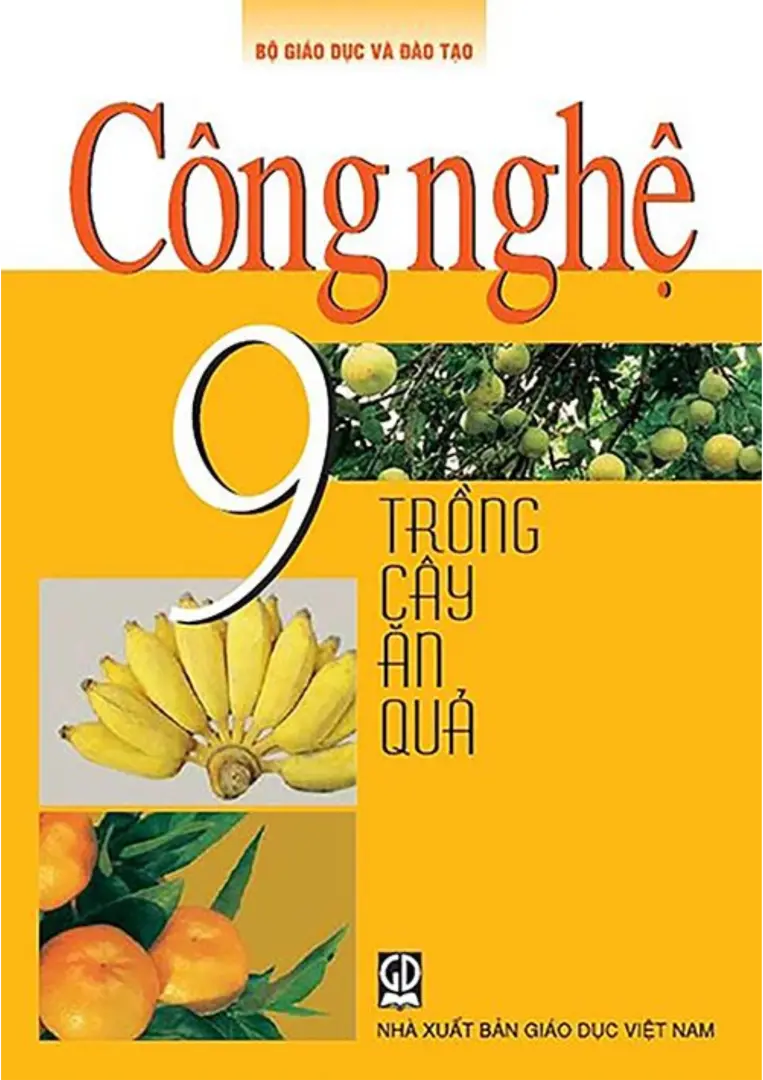 Sách giáo khoa Công nghệ 9 - Trồng cây ăn quả
