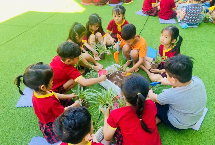 Tổ Chức Hoạt Động “Tết Trồng Cây”