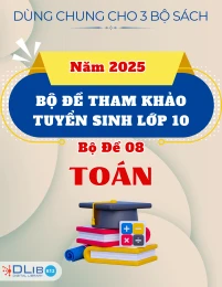 Bộ Đề Tham Khảo Tuyển Sinh 10 Năm 2025 - Toán - Bộ Đề 8
