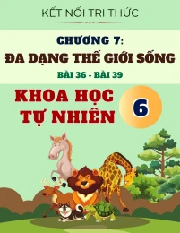 Chuyên Đề Lý Thuyết Chương 7: Đa Dạng Thế Giới Sống - Bài 36, Bài 37, Bài 38, Bài 39 - Khoa Học Tự Nhiên 6 - KNTT