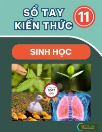 Sổ Tay Kiến Thức Sinh Học 11
