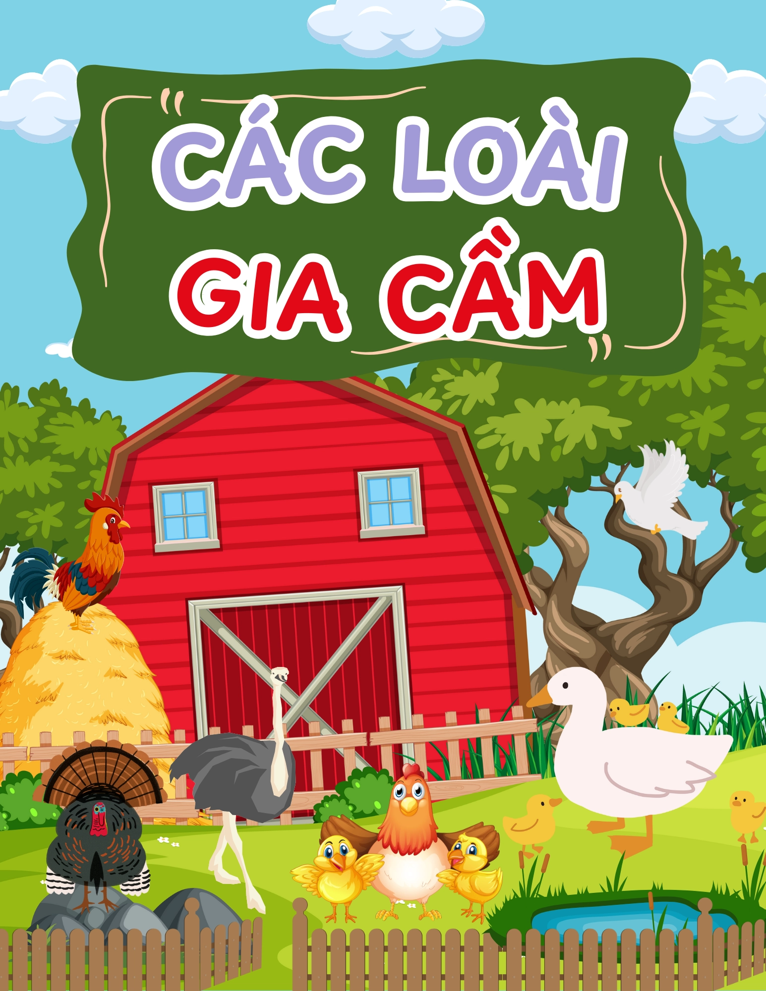 Flashcard Các Loài Gia Cầm