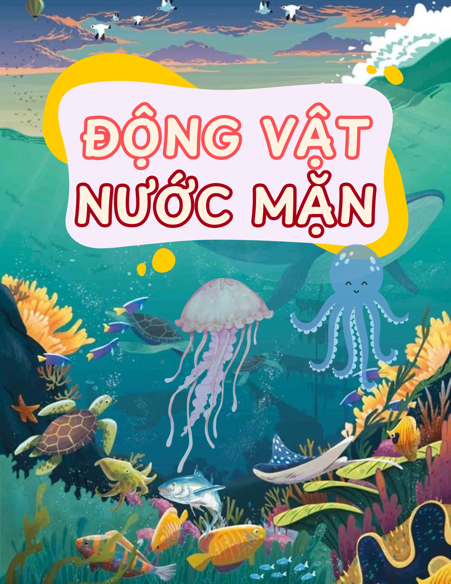 Flashcard Động Vật Nước Mặn