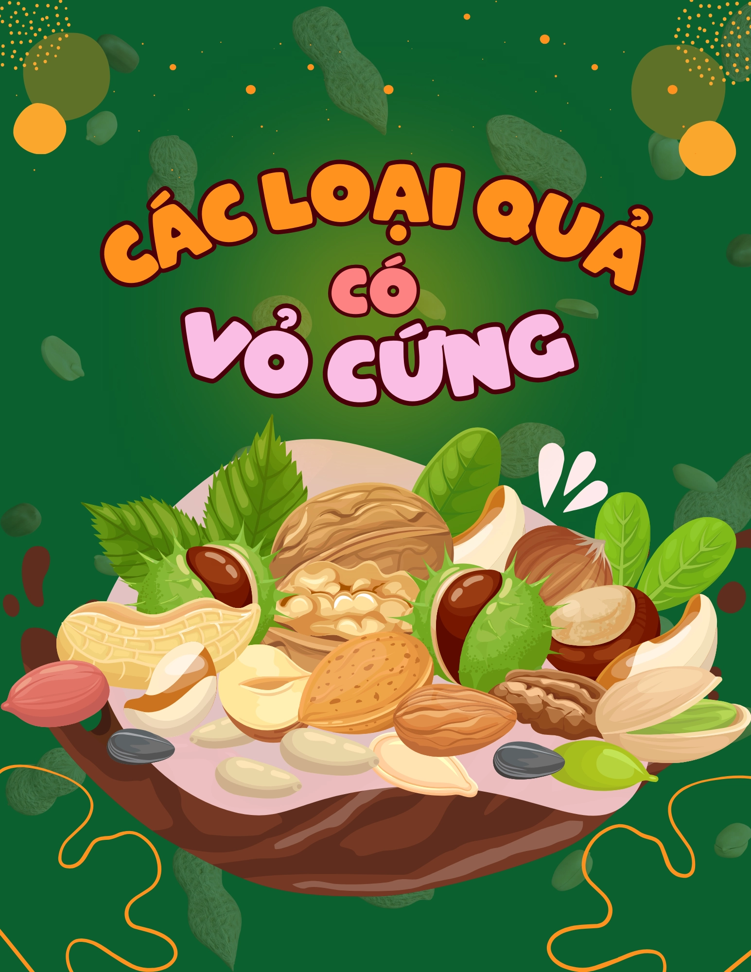 Flashcard Các Loại Quả Có Vỏ Cứng
