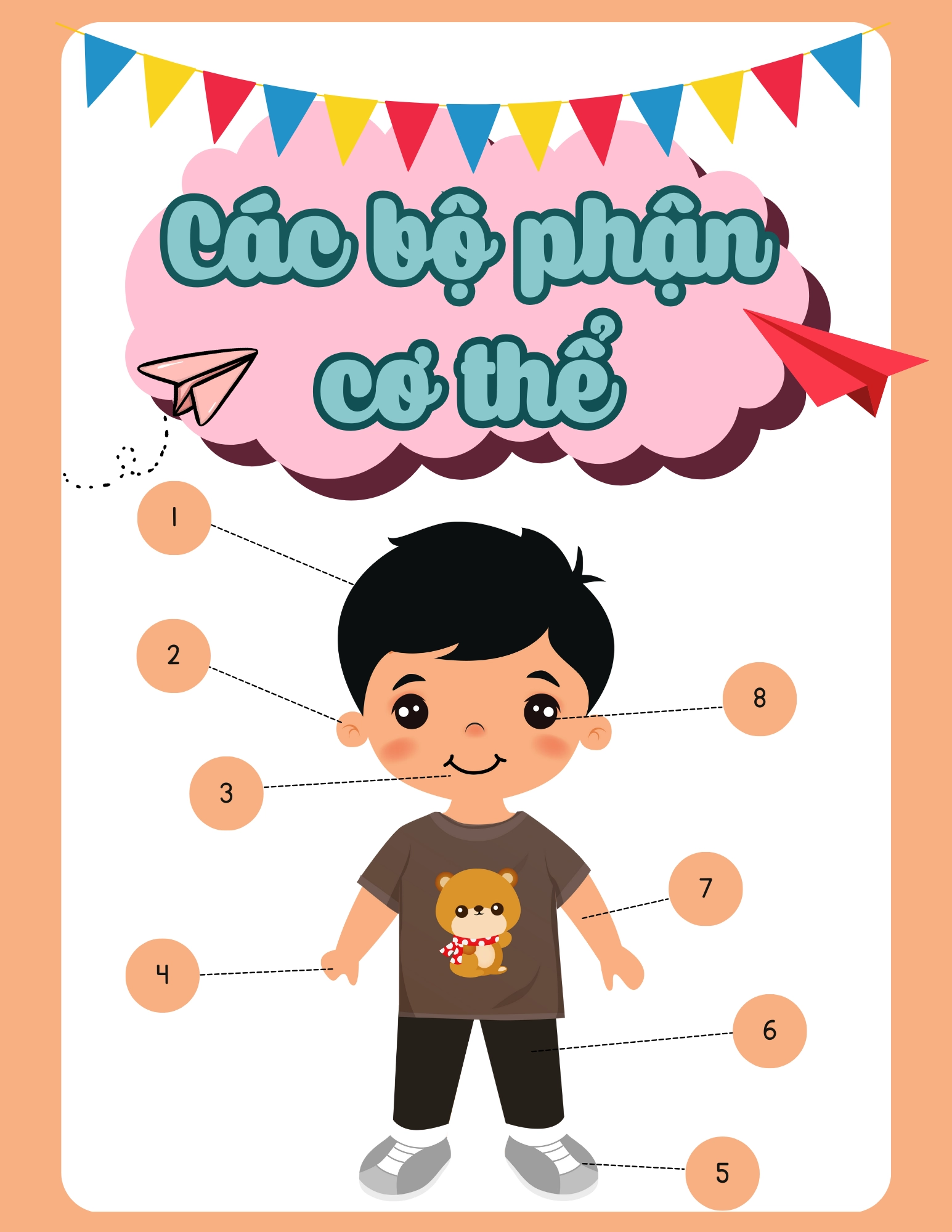 Flashcard Các Bộ Phận Cơ Thể