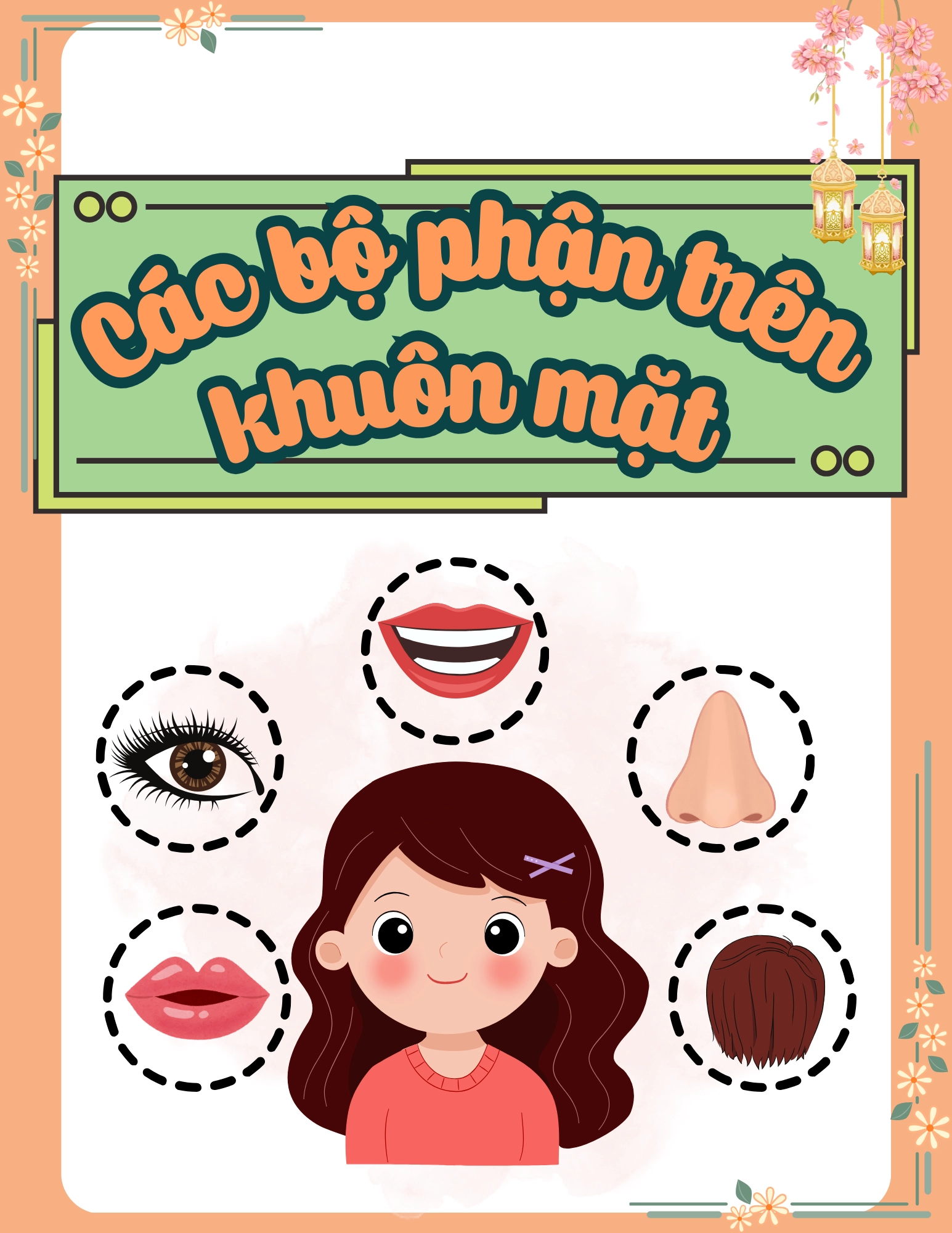 Flashcard Các Bộ Phận Trên Khuôn Mặt