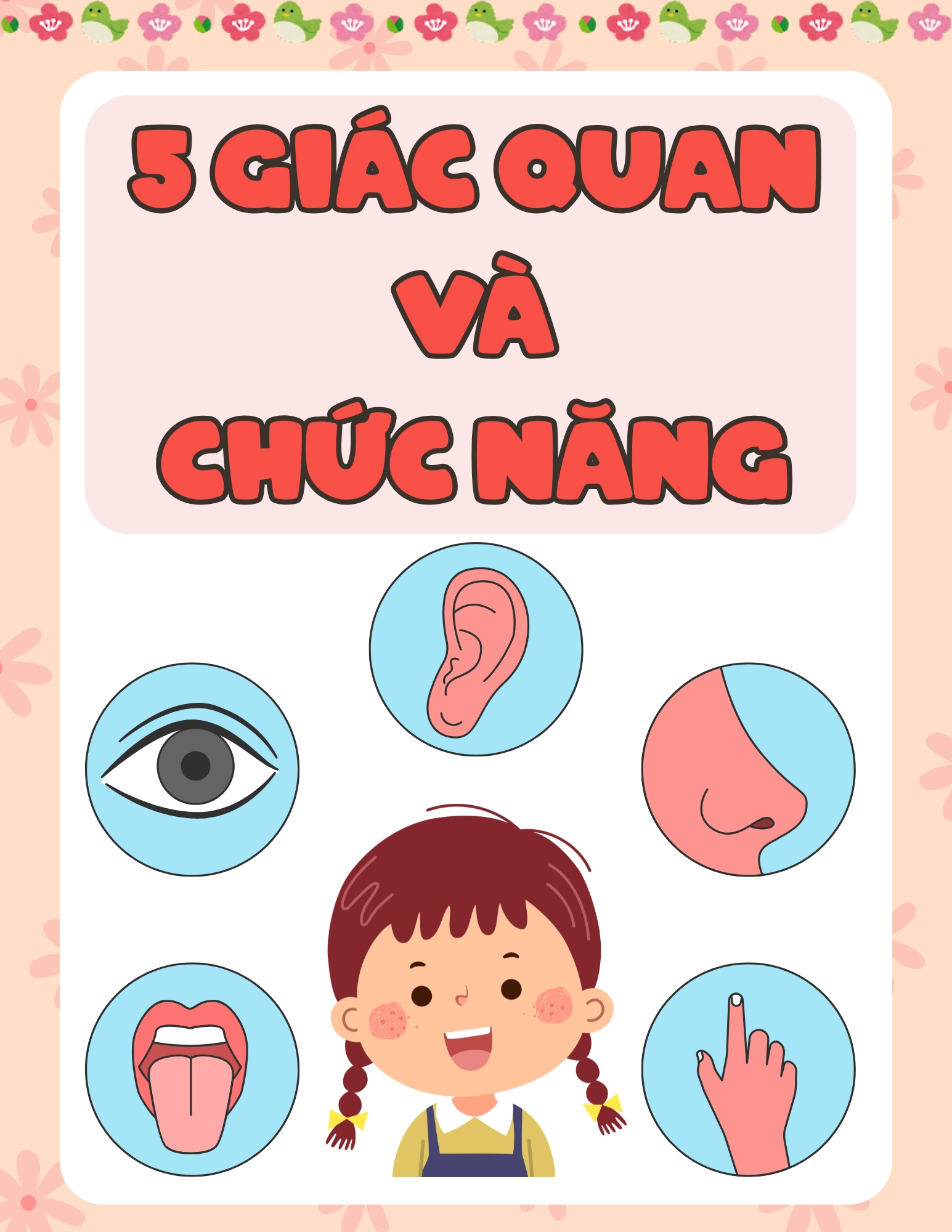 5 Giác Quan Và Chức Năng