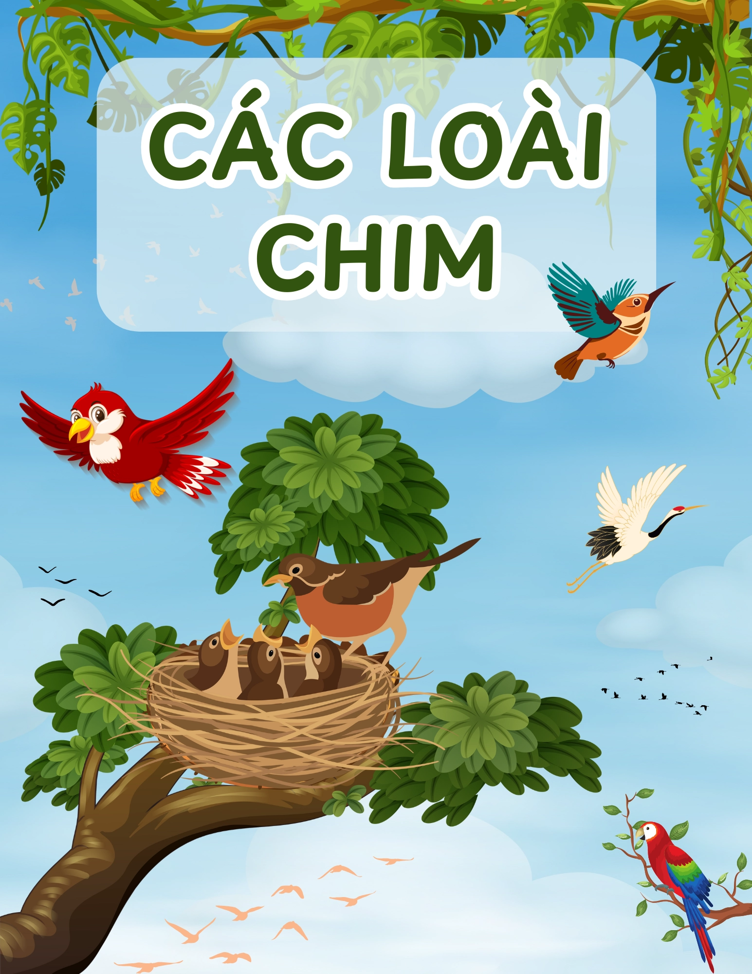 Các Loài Chim
