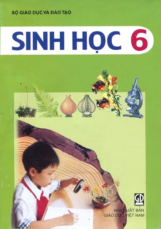 Sách giáo khoa Sinh học 6