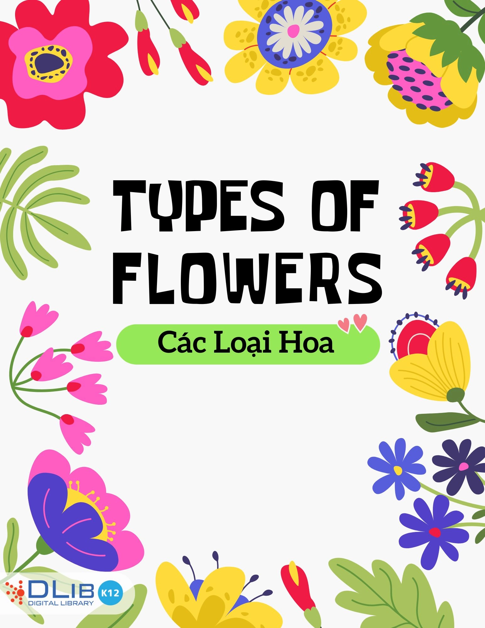 Types of Flowers - Các Loại Hoa