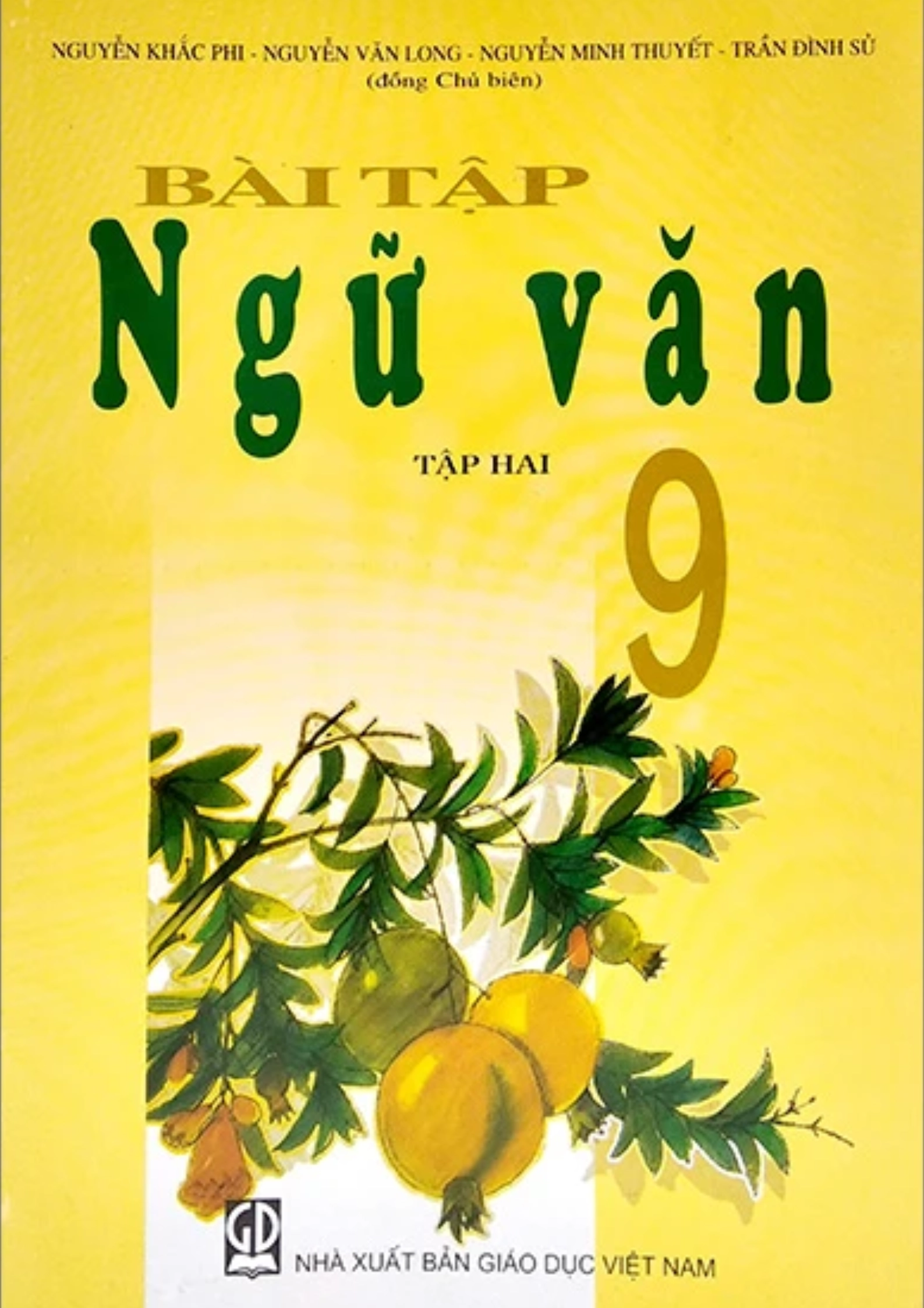 Sách bài tập Ngữ văn 9 - Tập 2
