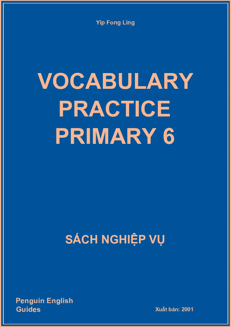 Vocabulary Practice Primary 6