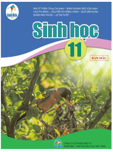 Sách giáo khoa Sinh học 11 - Cánh Diều