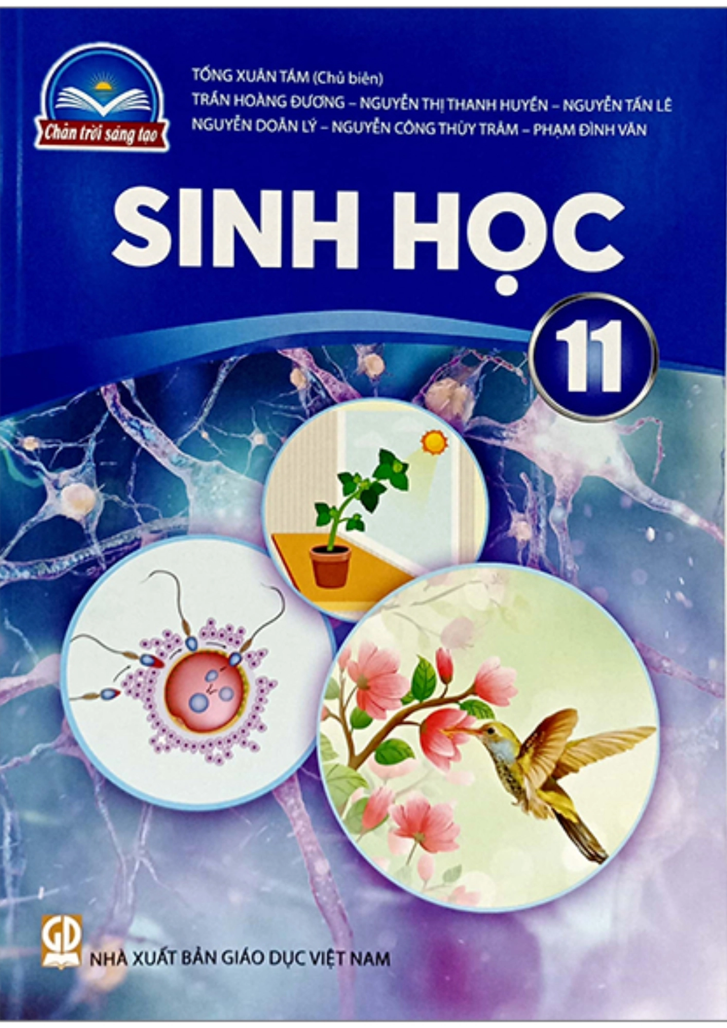 Sách giáo khoa Sinh học 11 Chân Trời Sáng Tạo