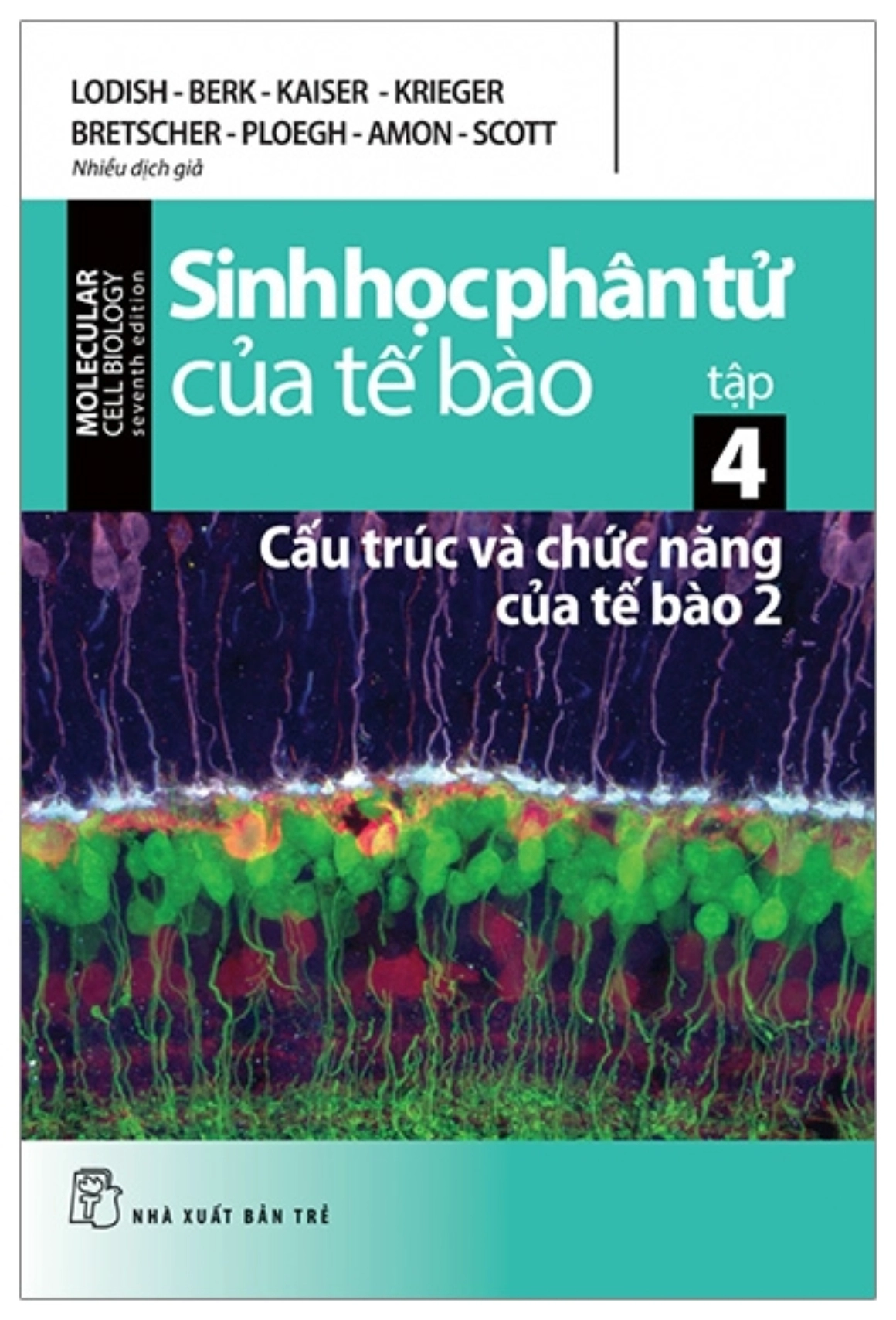 Sinh học phân tử của tế bào tập 4 – Cấu trúc và chức năng của tế bào 2
