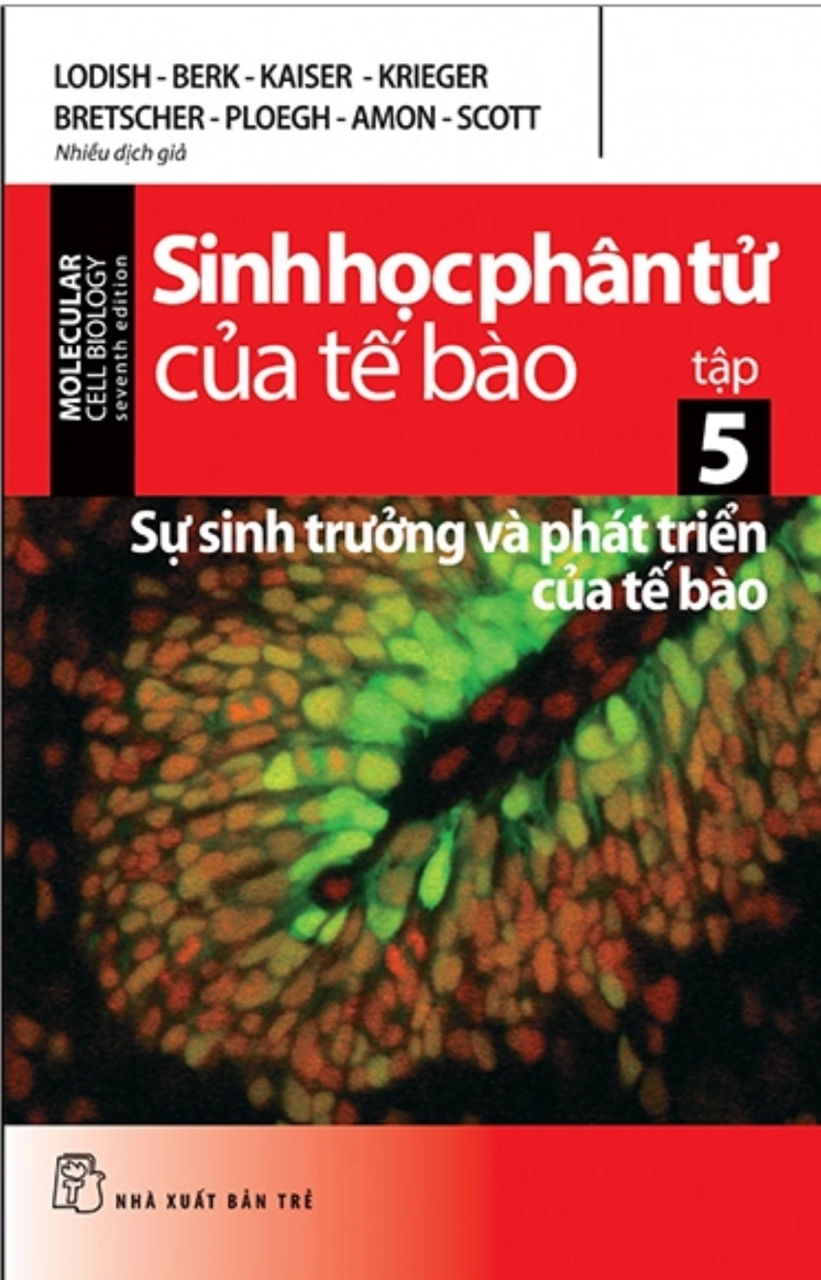 Sinh học phân tử của tế bào tập 5 - Sự sinh trưởng và phát triển của tế bào