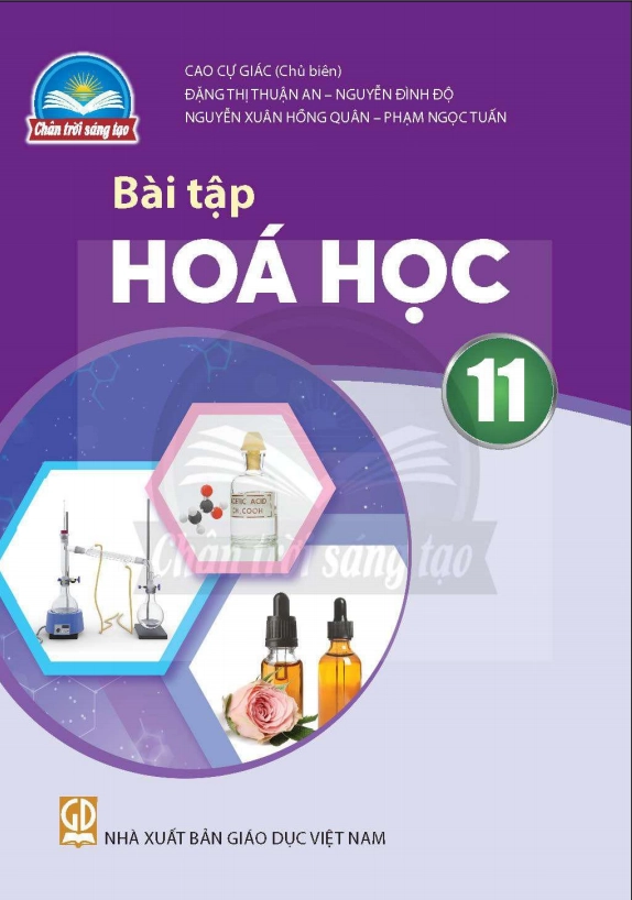Sách bài tập Hóa học 11 - Chân Trời Sáng Tạo