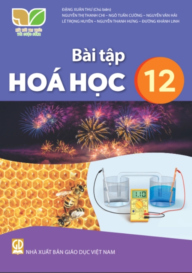 Sách bài tập Hóa học 12 Kết nối tri thức