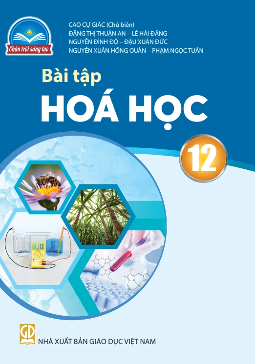 Sách bài tập Hóa học 12 Chân trời sáng tạo