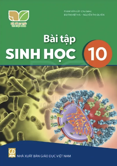Sách bài tập Sinh học 10 - Kết nối tri thức