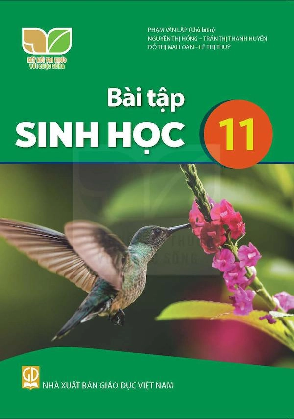Sách bài tập Sinh học 11 - Kết nối tri thức