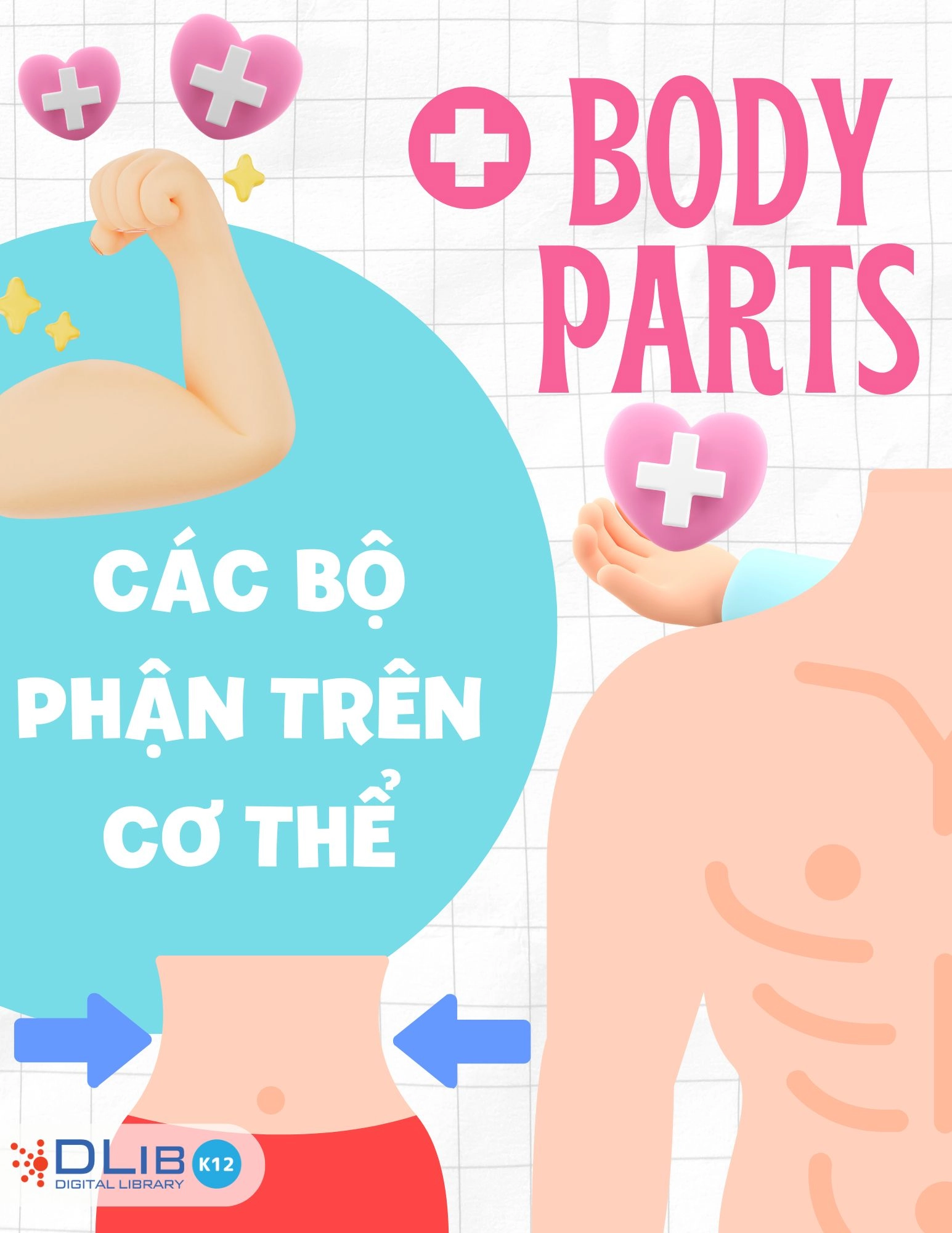 Body Parts - Các Bộ Phận Trên Cơ Thể